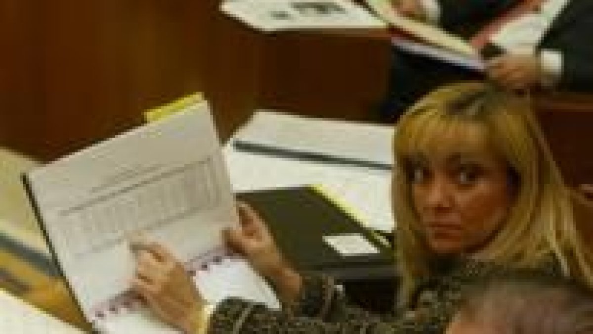 La consejera de Economía en un momento de un pleno en Fuensaldaña en una imagen de archivo