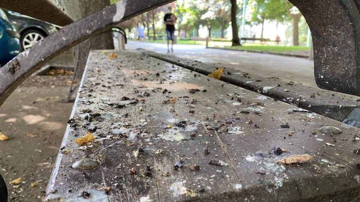 Un banco del paseo de la Condesa cubierto de suciedad. DL