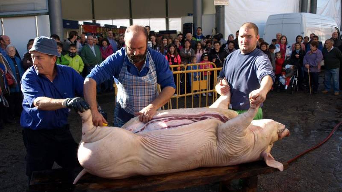 Luis, un especialista en el arte de la matanza del gocho, se encargó de limpiar el animal.