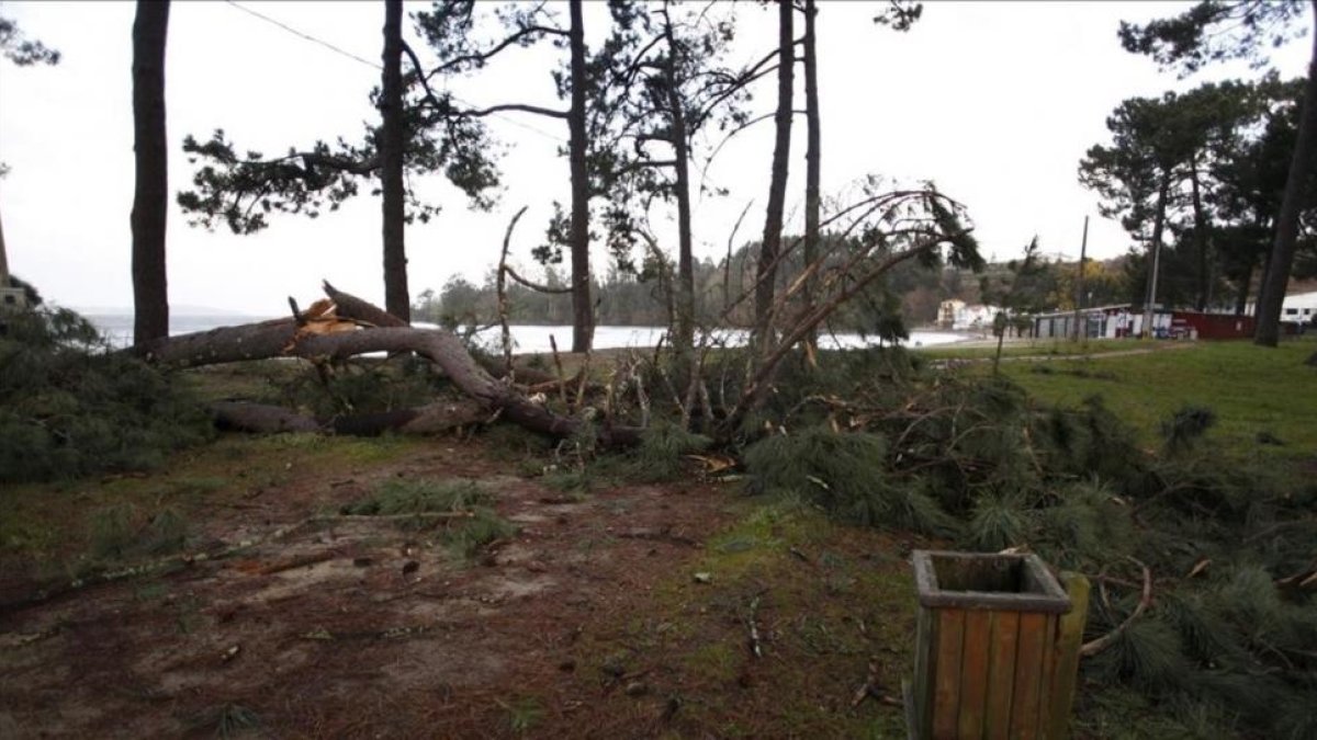 Destrozos causados por el viento en Cabanas (A Coruña).