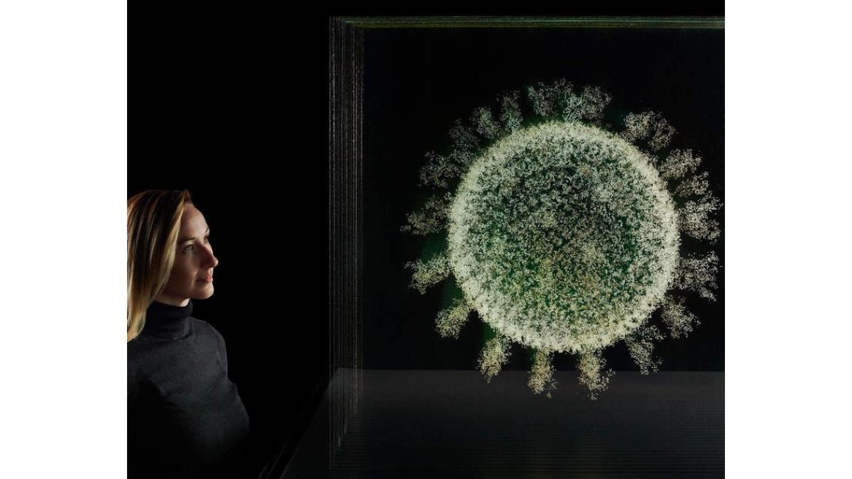 Exposición en Londres sobre la vacuna contra el covid. ISIDORA BOJOVIC / MARCO BORSATO