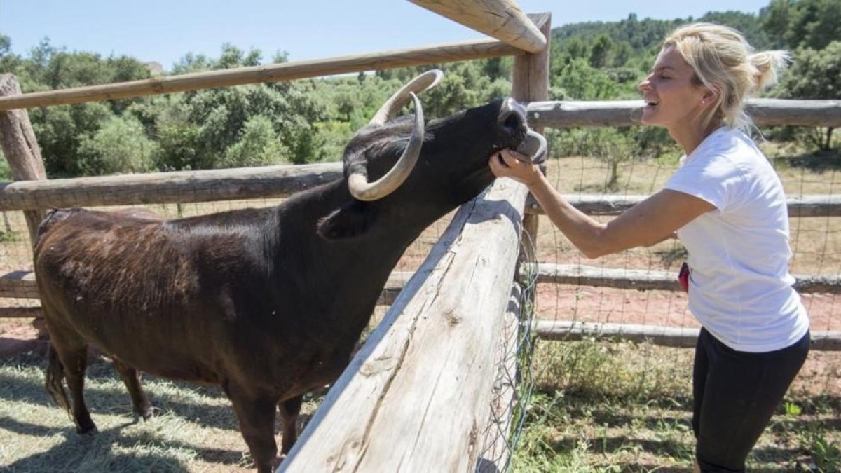 La vaca Margarita, en su nuevo hogar