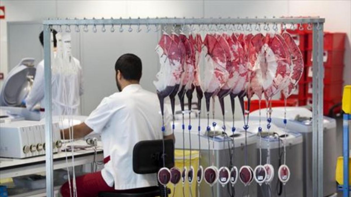 Un sanitario trabaja en un banco de sangre