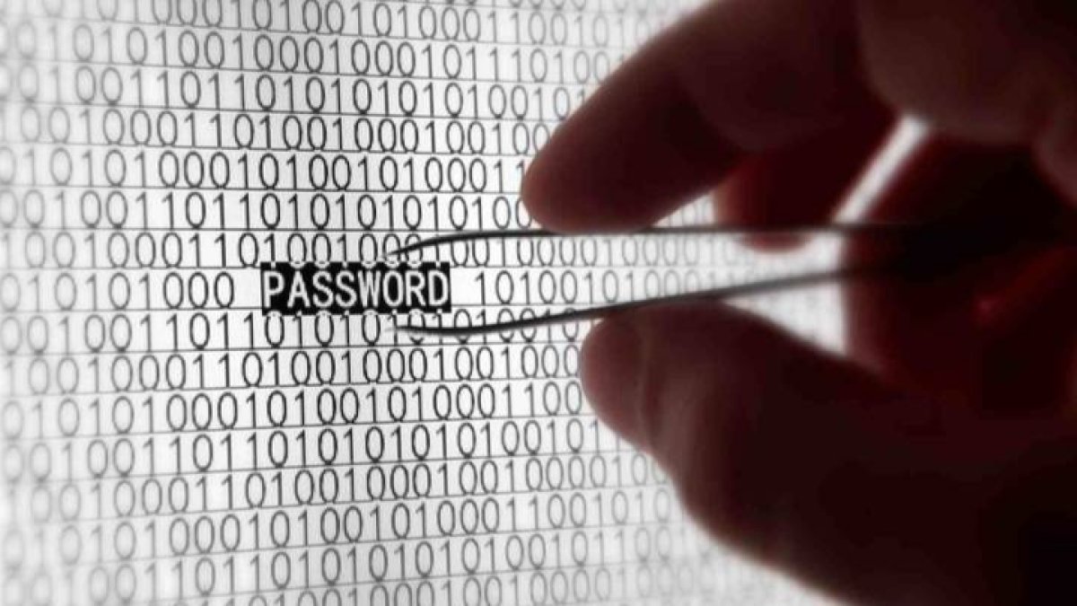 Los ciberdelincuentes aprovechan la crisis humanitaria para estafar por internet. DL