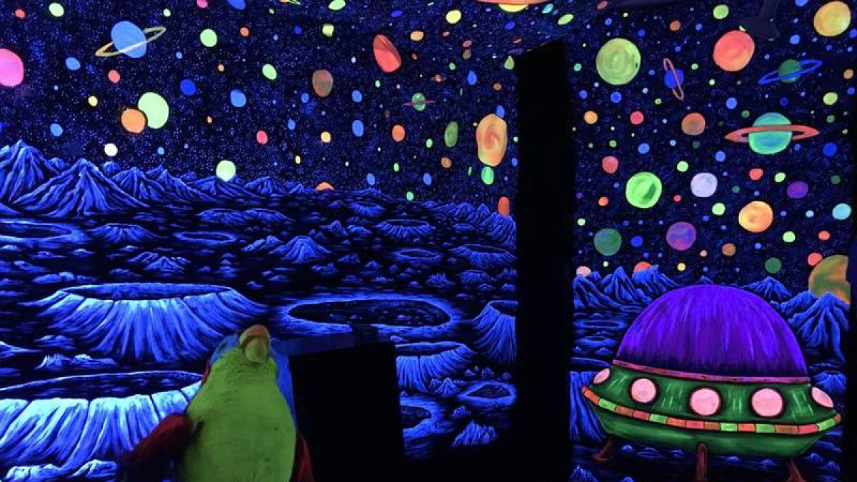 Al apagarse la luz se hace la magia y los decorados cobran un aura especial que configura ese teatro multisensorial que es terapia y aprendizaje. Para los usuarios de Nuestra Señora del Valle es una forma de comunicarse y de madurar. Una exposición, enmar