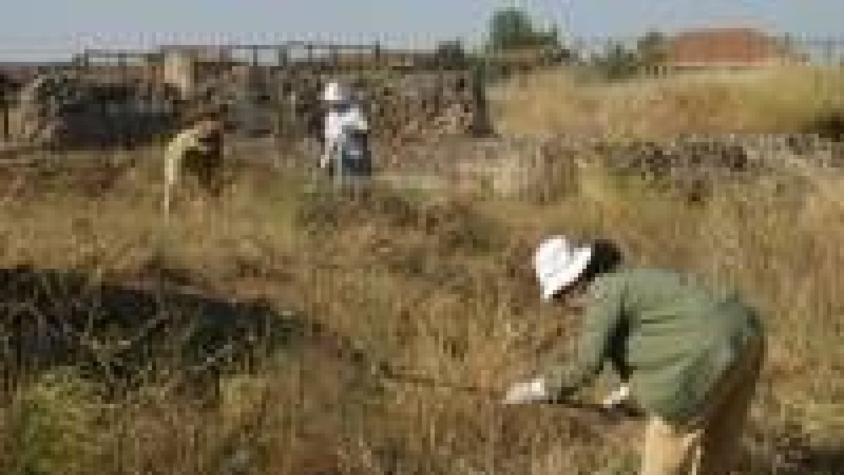 Miembros de Promonumenta, en plena «facendera» de limpieza