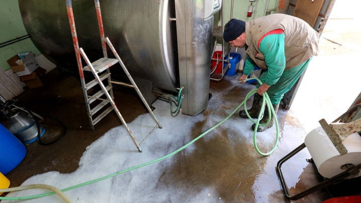 El precio de la leche se paga ahora a 60 céntimos de euros, lo que permite a los ganaderos no producir a pérdidas. MARCIANO PÉREZ
