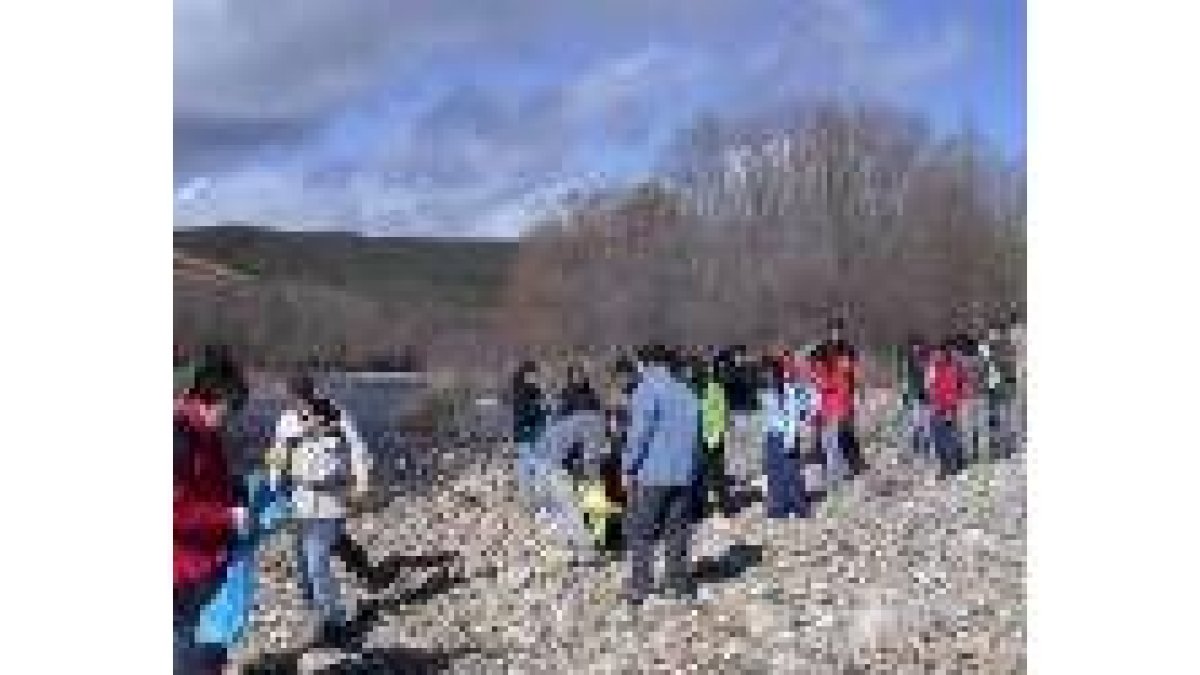 Más de 35 alumnos participaron en los trabajos
