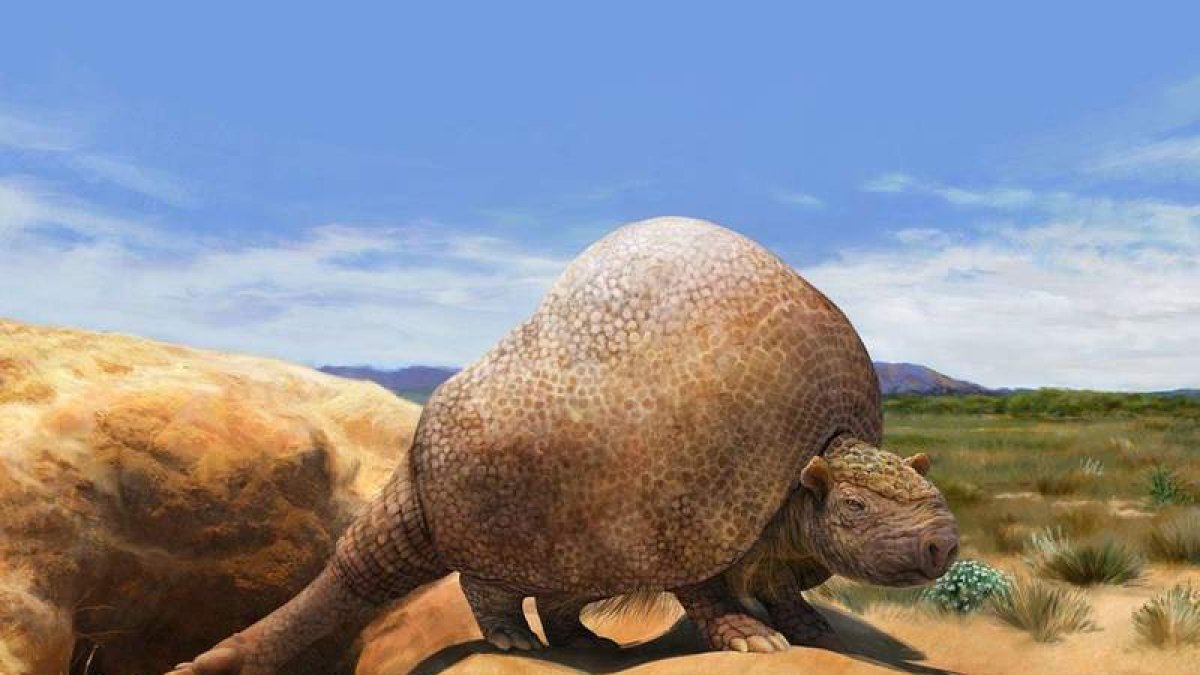 Recreación del aspecto de un gliptodonte, animal que vivió en la Tierra hace 50.000 años. DL