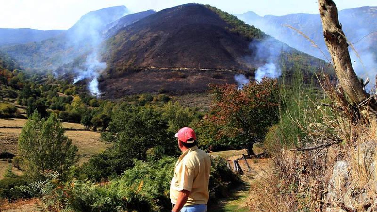 Incendio de Ancares, que arrasó 305 hectáreas en el 2011