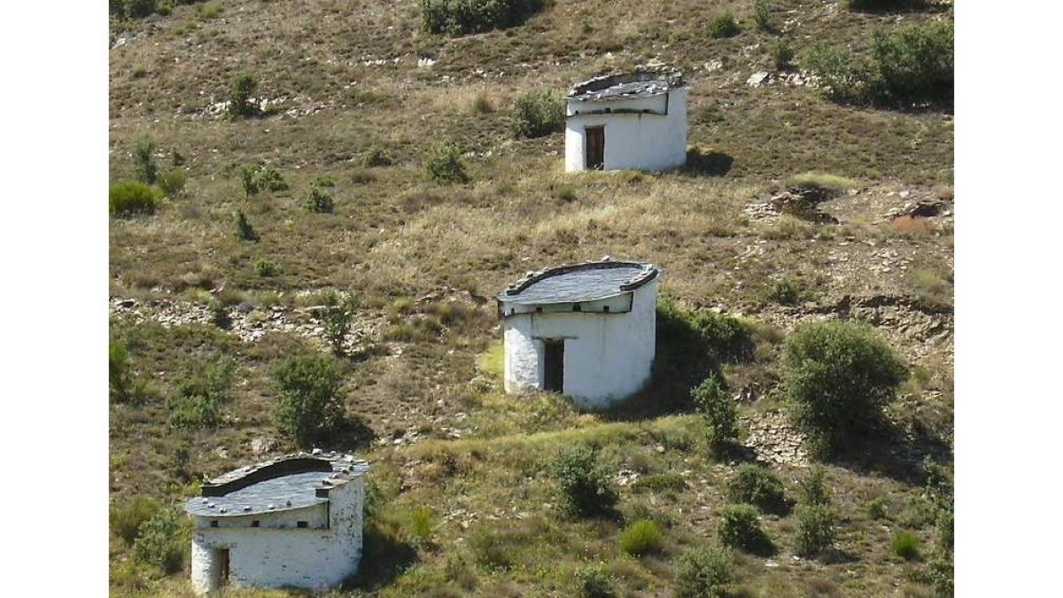 En las imágenes pueden verse algunos de los puntos de mayor interés del municipio de Encinedo. El Lago de La Baña, Monumento Natural, los característicos palomares, el Museo de La Cabrera y dos de las cuatro vidrieras vinculadas a Forna y Losadilla que se