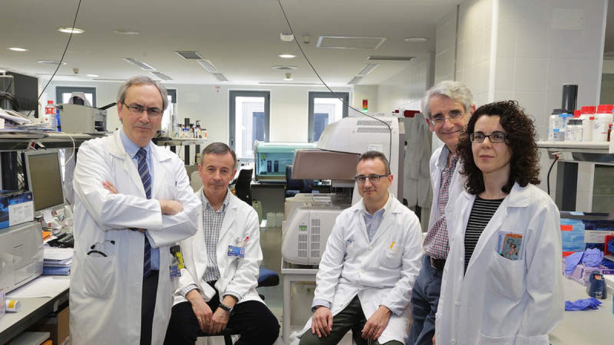 Fernando Ramos, hematólogo, Francisco Izquierdo, Anatomía Patológica, Javier Sánchez del Real, hematólogo, José María García Ruiz de Morales, inmunólogo y Marta Fuertes, hematóloga, el equipo del Hospital de León que ha participado en el estudio