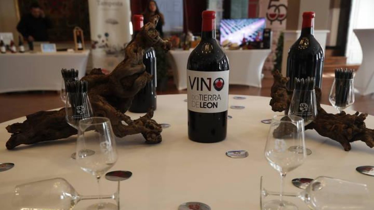 Showrrom de los vinos Tierra de León