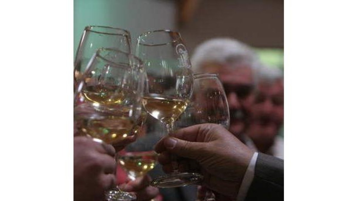 La Denominación de Origen Bierzo puede brindar con los resultados de ventas del 2010.