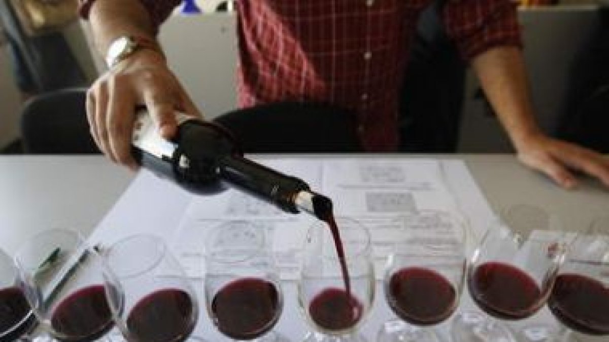 Preparadas las copas, después de catarlas solamente hay que agruparlas en el mantel, según las sensa