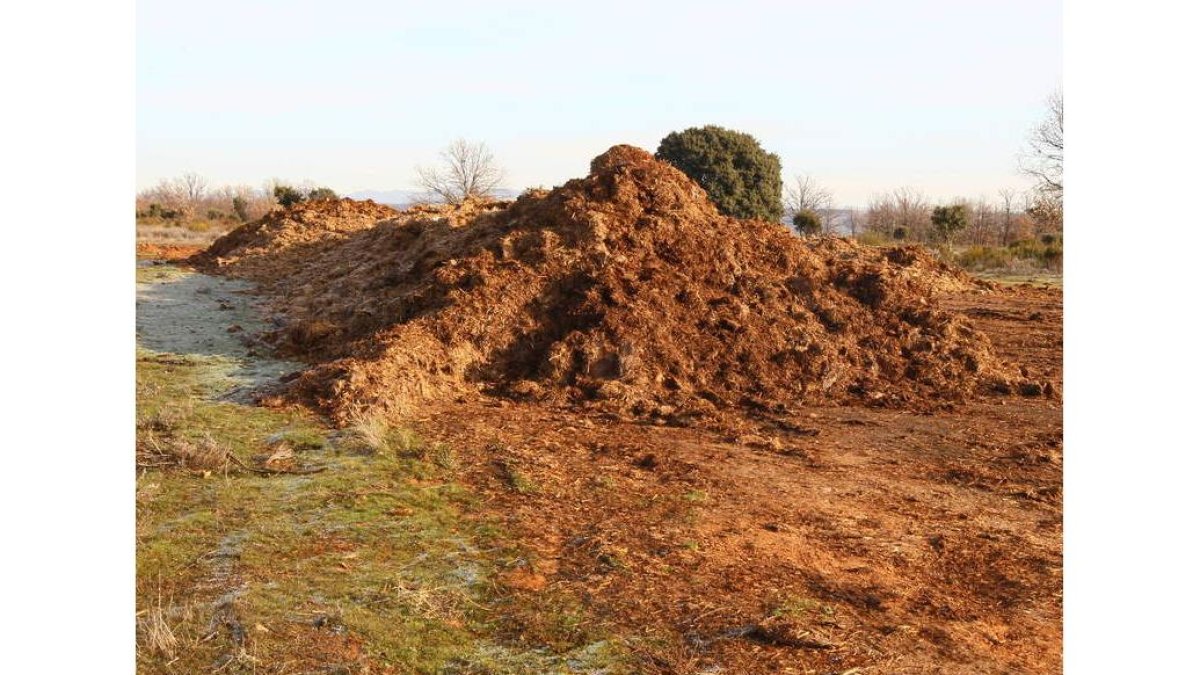 Imagen de la finca de Villabalter investigada.
