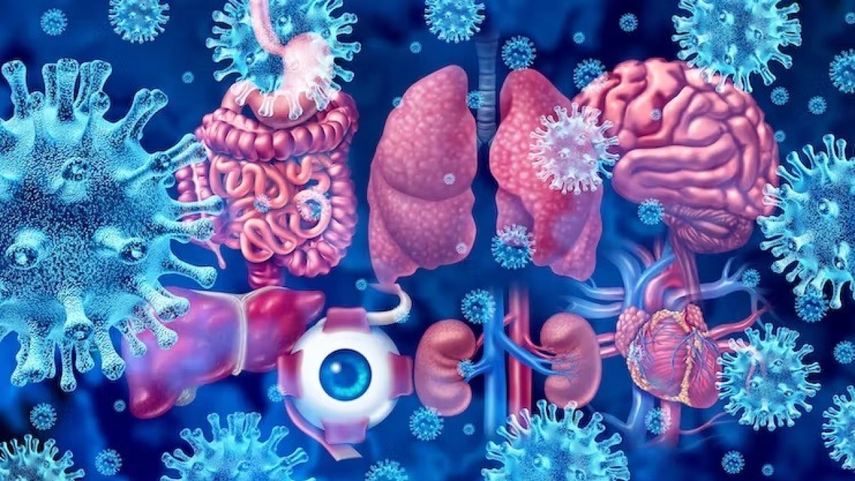 SHUTTERSTOCK | LIGHTSPRING