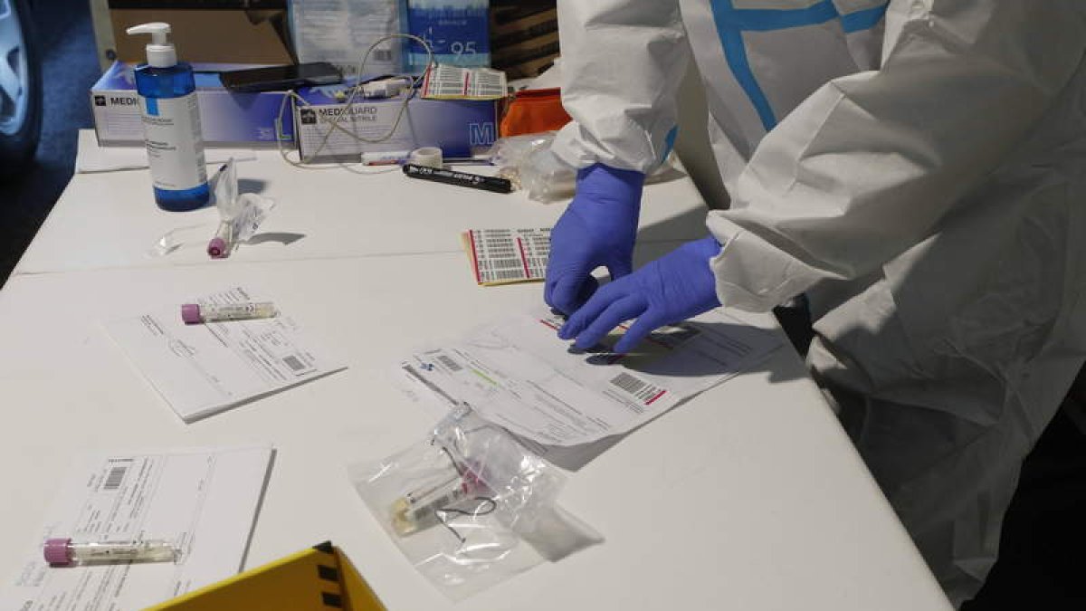 Recogida de pruebas de PCR en uno de los cribados masivos de León. RAMIRO