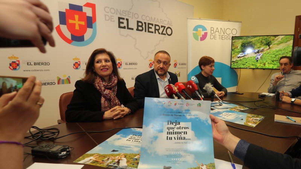 Misericordia Bello, Gerardo Álvarez Courel y Beatriz Anievas, ayer en la sede del Consejo. ANA F. BARREDO