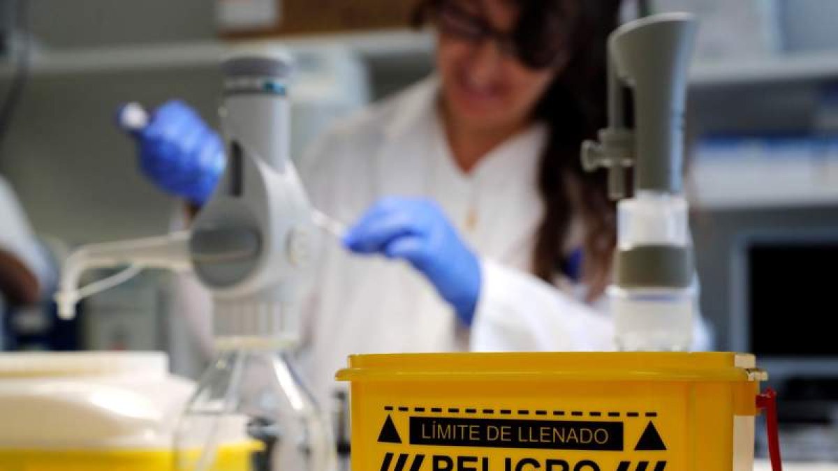 Investigadores del Centro Nacional de Microbiología analizan la carne mechada. CHEMA MOYA
