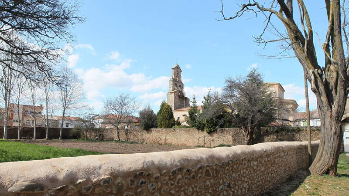 Iglesias de Carrizo de la Ribera y puente medieval de Hospital de Órbigo. Árboles en flor en la ribera del Órbigo.