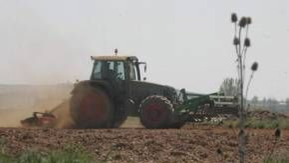 Un tractor prepara el terreno para la siembra en una zona al sur de la provincia de León