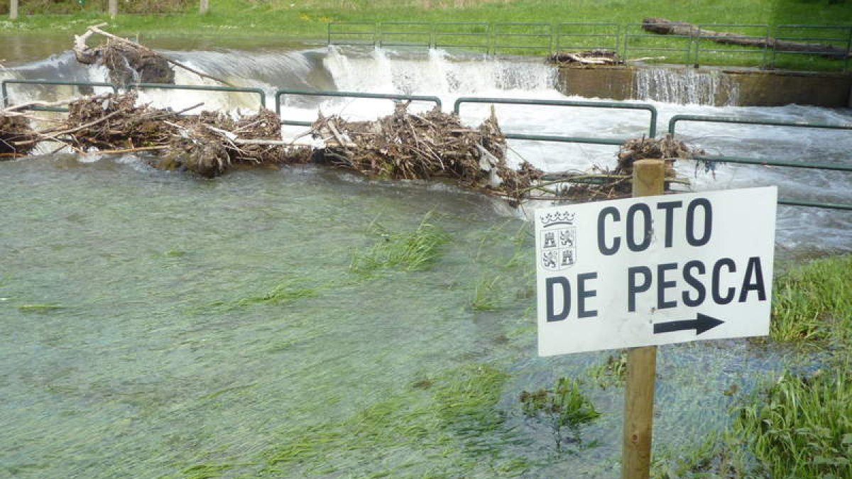Las oficinas de Medio Ambiente de la Junta albergan mañana el sorteo de los cotos de pesca.