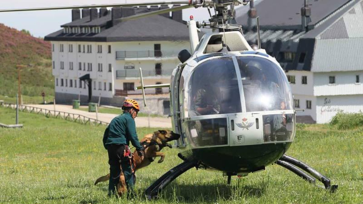 Uno de los perros de Sabero sube al helicóptero en un ejercicio.