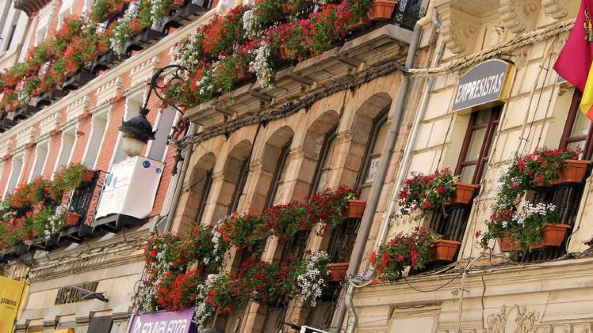 Jardineras en los balcones de la calle Ancha