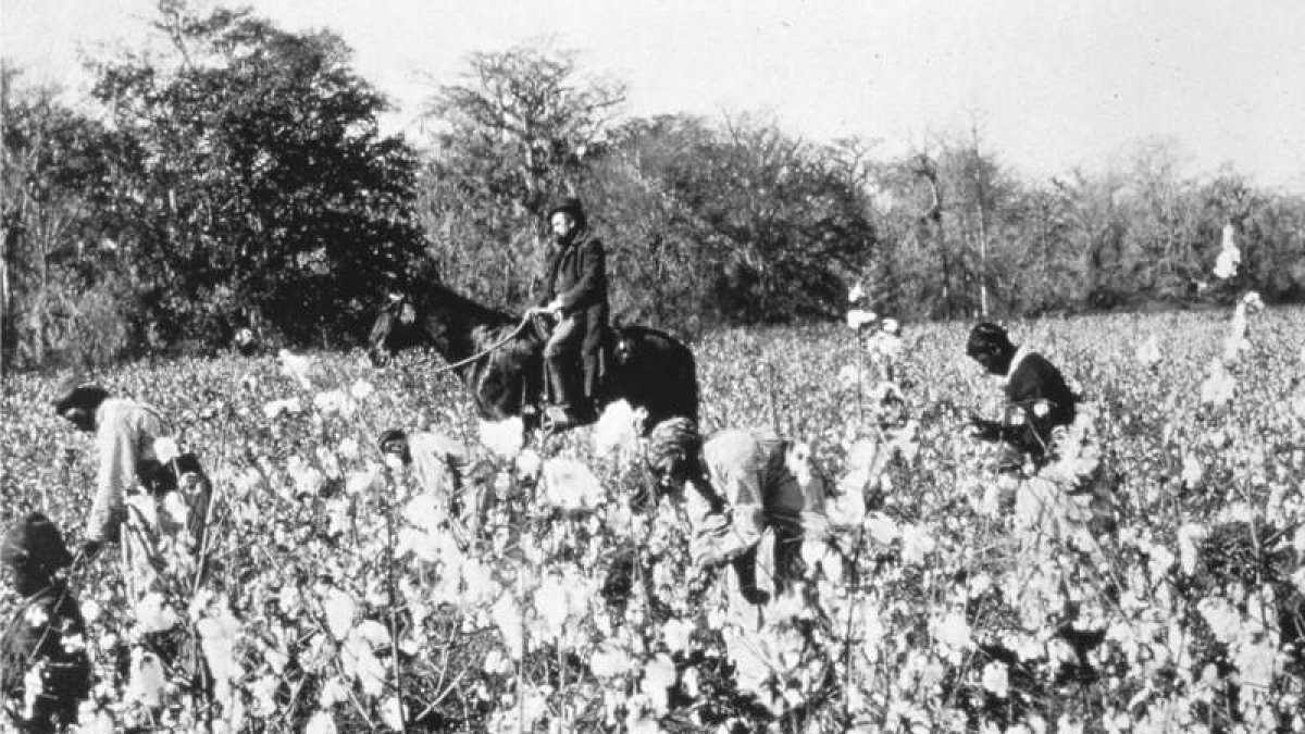 Imagen de una plantación de esclavos en Mississippi. WIKIPEDIA