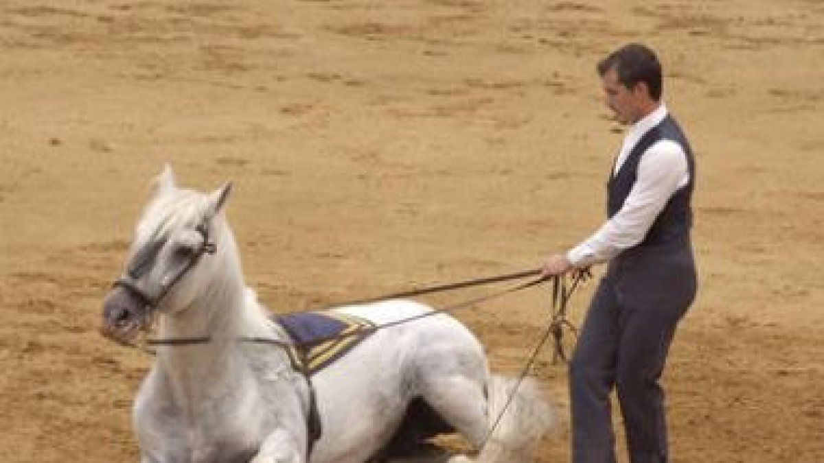 El espectáculo de doma ecuestre es una de las actividades más destacadas del programa.