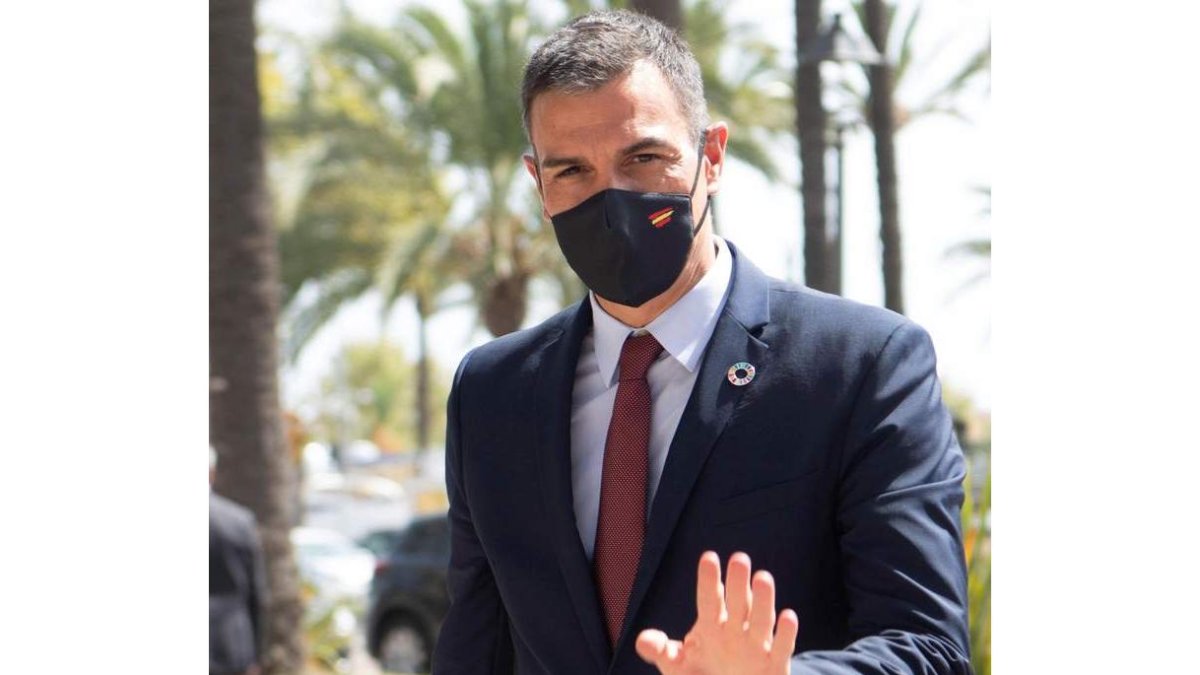 Pedro Sánchez, en su visita al rey en el palacio de Marivent. CATI CLADERA