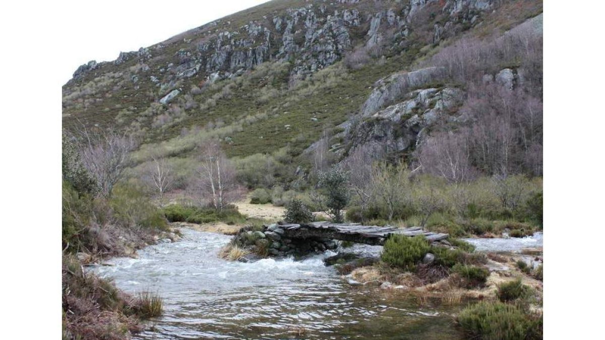 Imagen del río Ancares, a la altura de Piornedo.