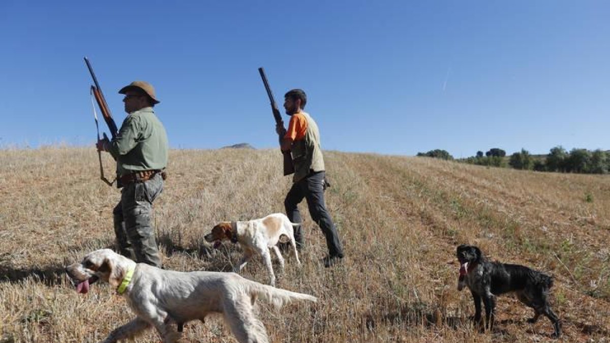 Cazadores en una batida en León