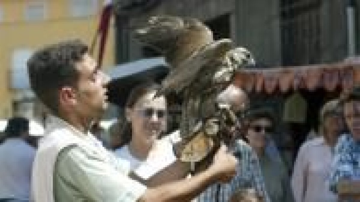 La exhibición de aves rapaces atrajo la atención de numerosos amantes de la naturaleza
