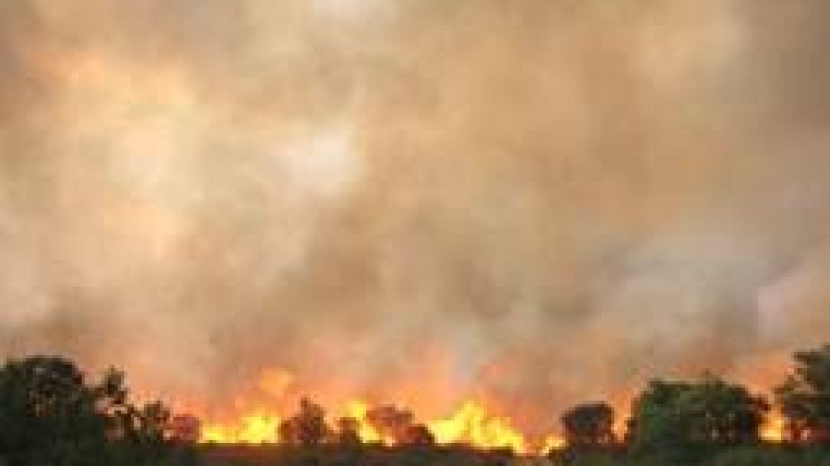 La comarca de La Valdería fue escenario de un incendio espectacular este mismo verano