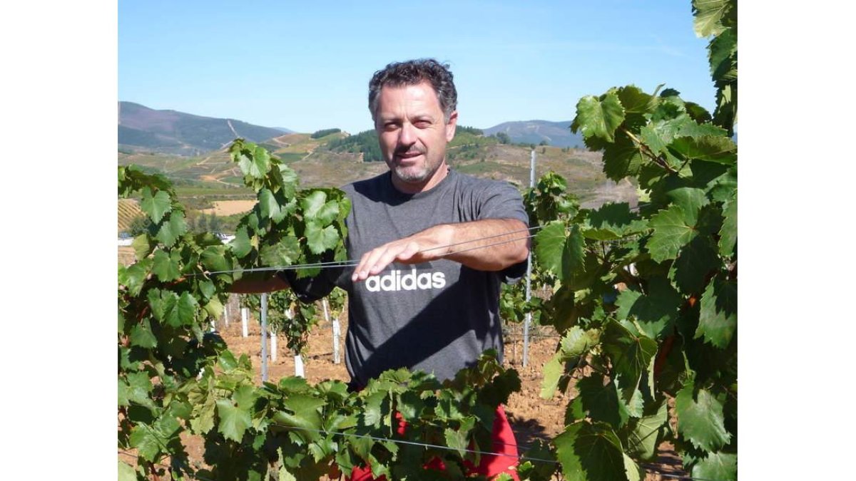 Víctor Arroyo,en su nueva plantación en la ladera nortedel Castrode la Ventosa.
