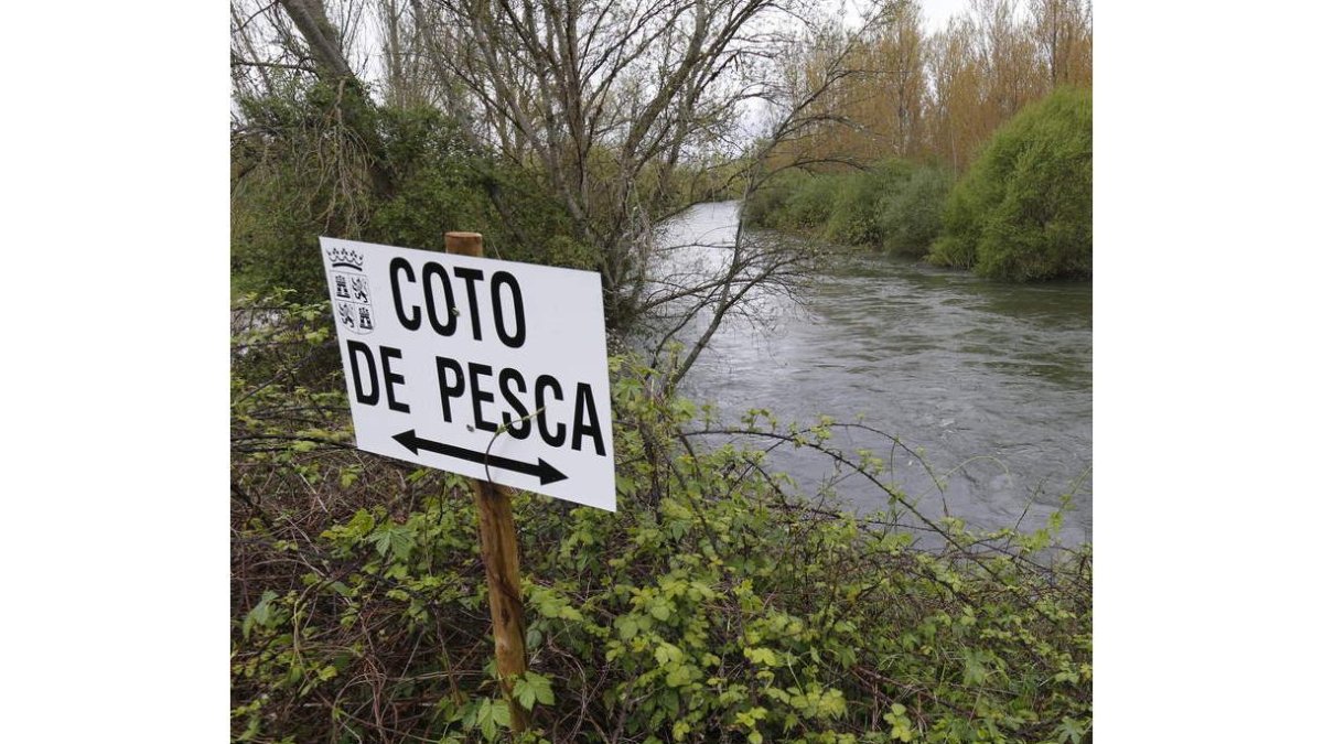 La pesca tendrá en unas fechas su normativa para 2021. RAMIRO