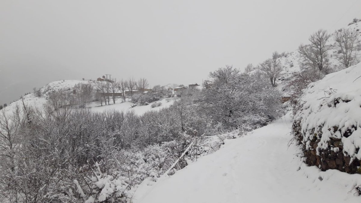 Paradilla de Gordon cubierta de nieve esta mañana. DL