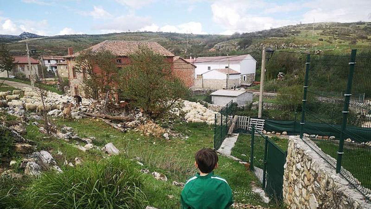 Un niño en un pueblo de la provincia de Ávila donde vive solo con sus padres. A. ÁLVAREZ