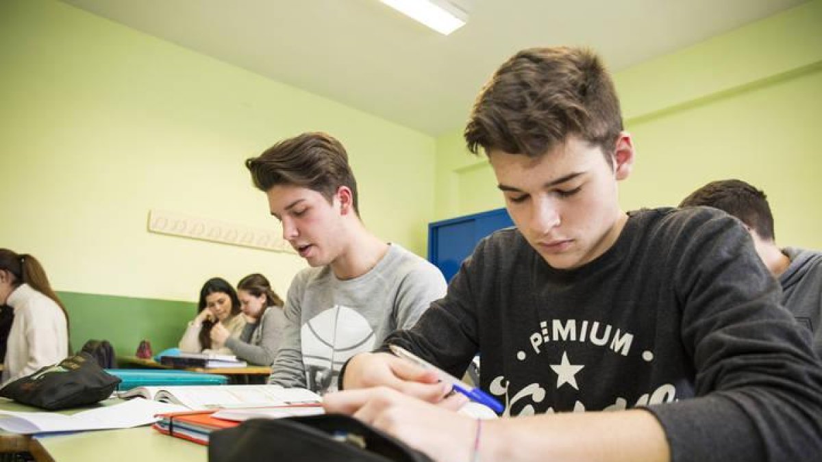 Imagen de un alumno de Bachillerato del IES Juan del Enzina