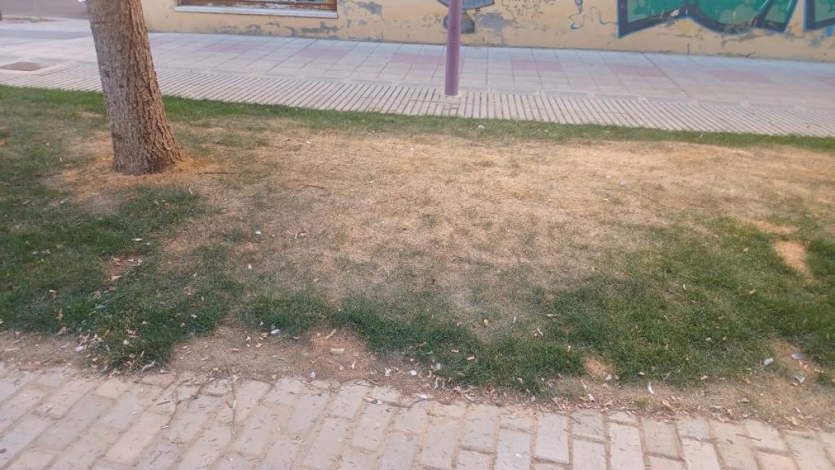 WhatsApp Image 2023-08-08 at 19.49.33 (5)