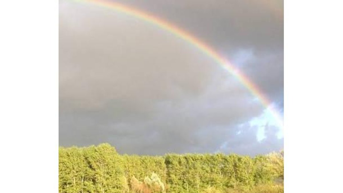 Arco iris sobre un bosque de la provincia de León