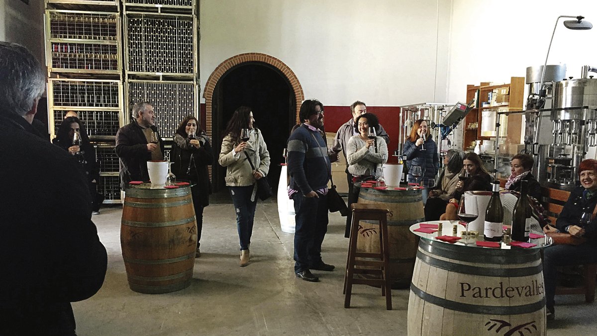 Un grupo de enoturistas visitando una bodega de Valdevimbre. DL