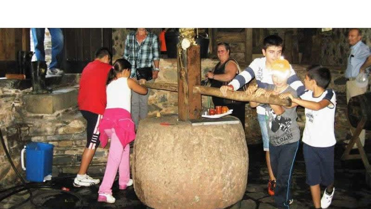 Un grupo de jóvenes da vueltas en el tradicional lagar para obtener el máximo de mosto.