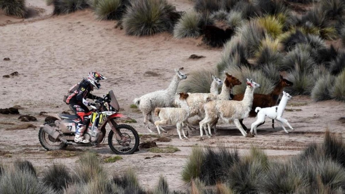 El argentino Diego Martín durante la séptima etapa de la edición de este año del Dakar.
