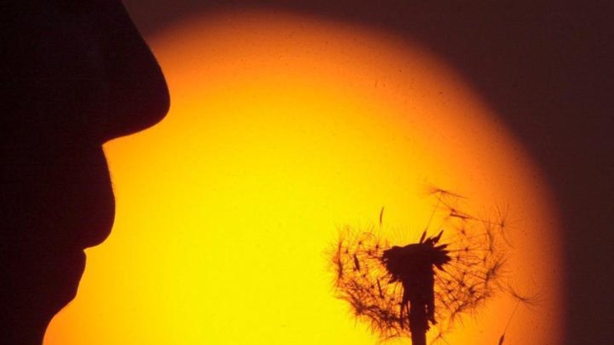 Un joven sopla un diente de león ante una puesta de sol