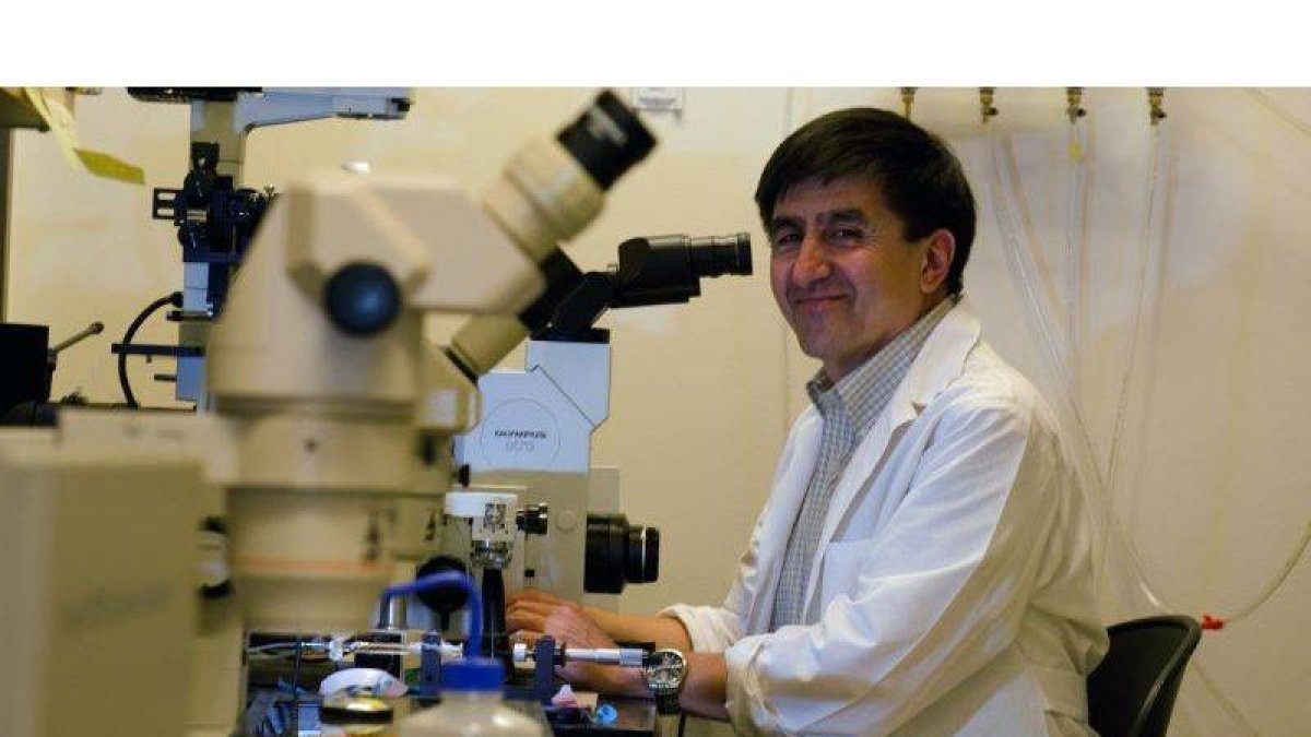 El director de la investigación, Shoukhrat Mitalipov, científico de la Universidad de Salud y Ciencia de Oregón.