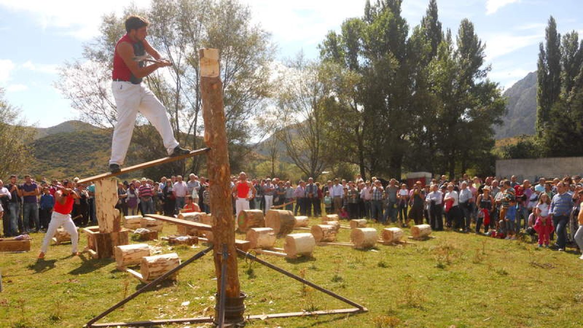 Un momento del corte de troncos que tuvo lugar en el paraje Los Campos al lado del ganado.