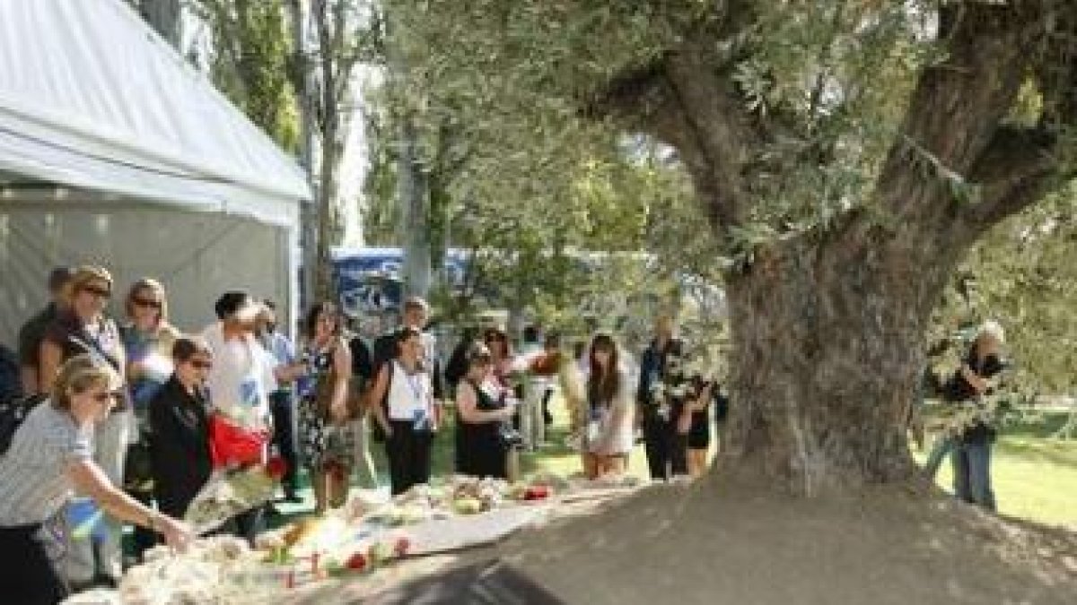 Familiares depositan flores ante la placa.
